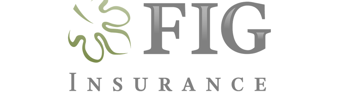 fig_logo